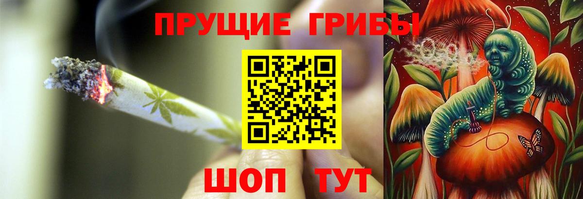 Псилоцибиновые грибы мицелий  Вход с VPN  цена   Миасс 